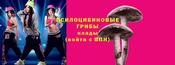 молекула духа Алексеевка