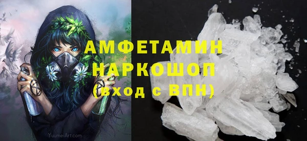 молекула духа Алексеевка