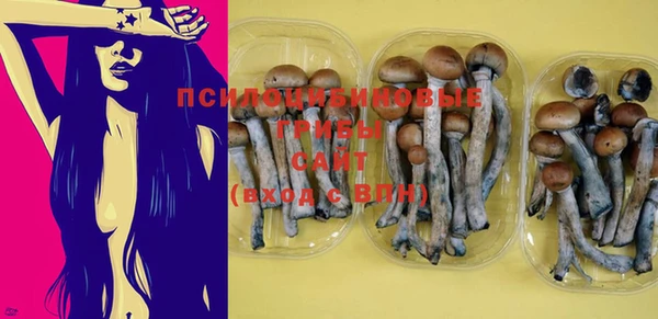 PSILOCYBIN Абдулино