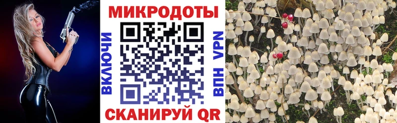 Галлюциногенные грибы Psilocybine cubensis  Правдинск 